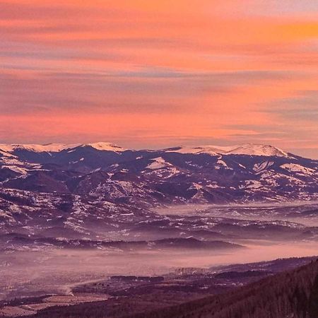 Pensiunea Sky Lupény Kültér fotó