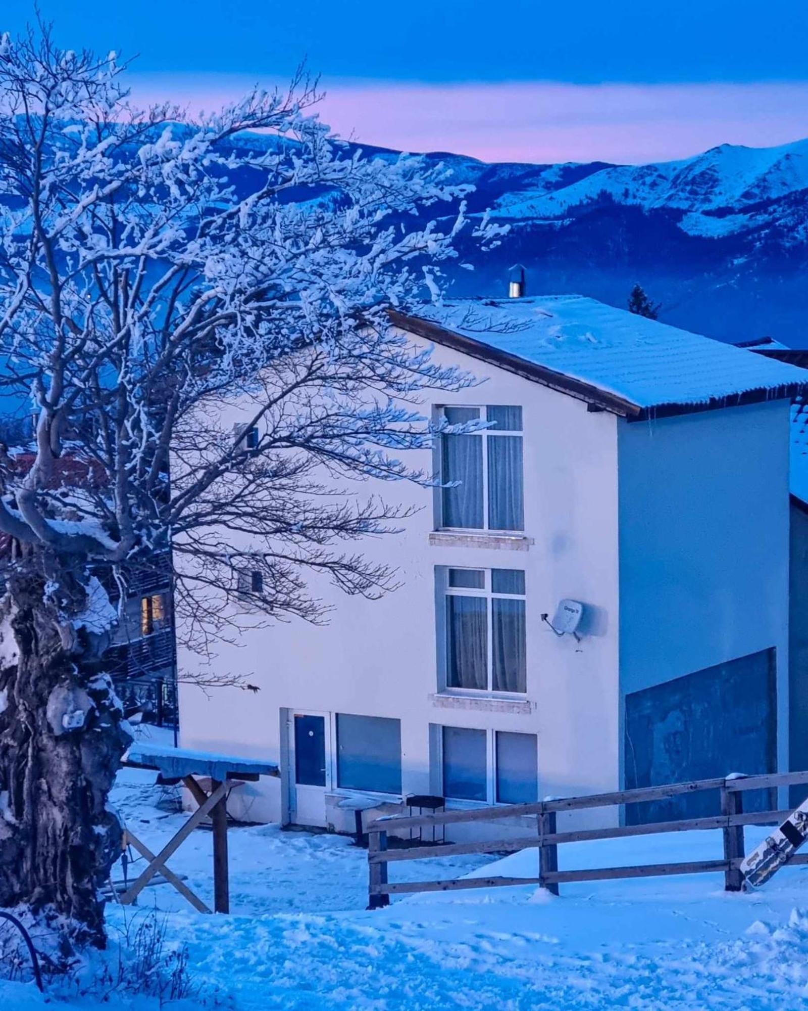 Pensiunea Sky Lupény Kültér fotó